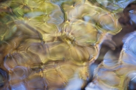 Water-Colors - 3H_447612