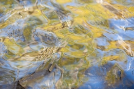 Water-Colors - 3H_448812