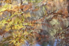 Water-Colors - 3H_452112