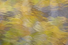 Water-Colors - 3H_455512