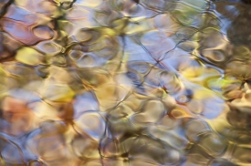 Water-Colors - 3H_458112