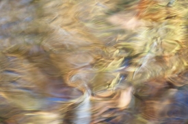 Water-Colors - 3H_462212