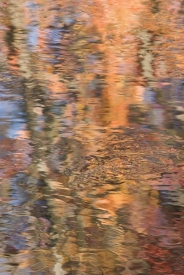 Water-Colors - 2V_66908