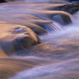 River-Whispers - 1S_57005