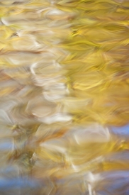 Water-Colors - 2V_453412