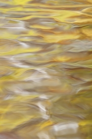 Water-Colors - 2V_454312
