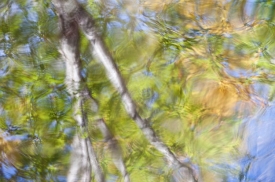 Water-Colors  - 3H_442512