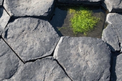 Stone