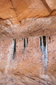 Desert Varnish - 2V_617210