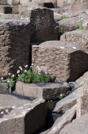 Giant's Causeway - 2V_488212