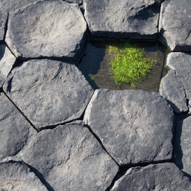 Giant's Causeway - 1S-503612