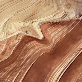 The Wave - 1S_40401